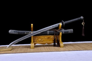 应龙绣春刀，长信