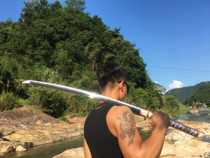 飞龙在天